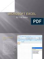 Microsoft Excel