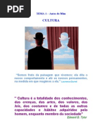 A Cultura