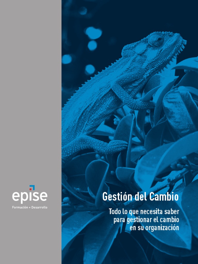 Gestion Del Cambio MOC | PDF | Las emociones | Temor