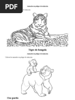 Animales en Peligro de Extinción