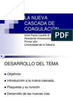 92557285 Nueva Cascada de La Cuagulacion