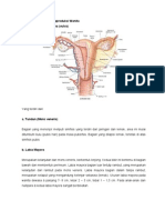 Anatomi Sistem Reproduksi Wanita