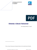 Cálculo Variacional - Entenda - UEMA