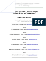 Modelo de Relatório IFMT-BLV - Daniela - Quimica de Alimentos