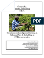Characteristics of peasant farming in Richmond Vale & Bethel Gap Jamaica
