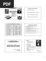 INTRODUCAO_E_MORFOLOGIA_DOS_FUNGOS_2011 03 02.pdf