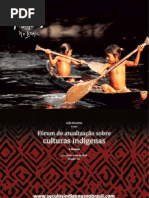 culturaindigenaapostila2