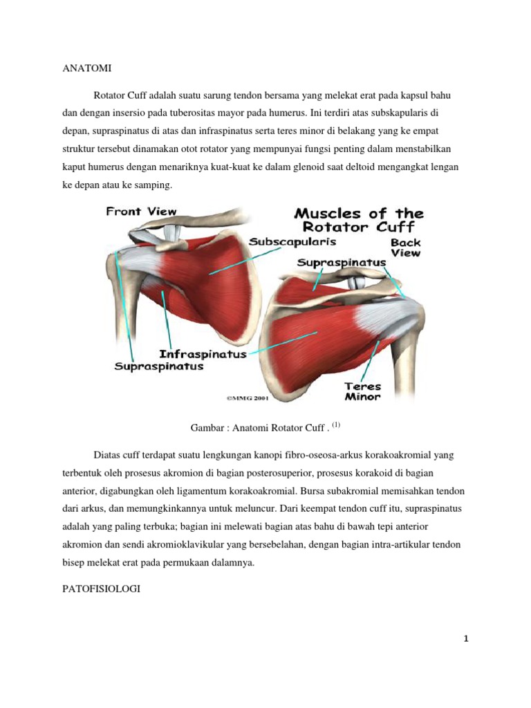 Rotator Cuff Syndrome | PDF