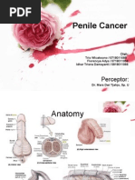 Download Penile Cancer by Florencia Adys Bennington SN125848224 doc pdf