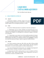 LCR.pdf