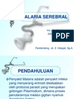 Malaria Serebral