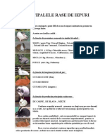 Rase de Iepuri (Principalele Rase de Iepuri) PDF