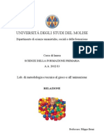 Lab. metodologia e tecnica al gioco e all'animazione