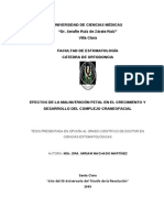 Efectos de La Malnutrición Fetal en El Crecimiento y Desarrollo Del Complejo Craneo Facial