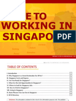 Guide To Working in Singapore