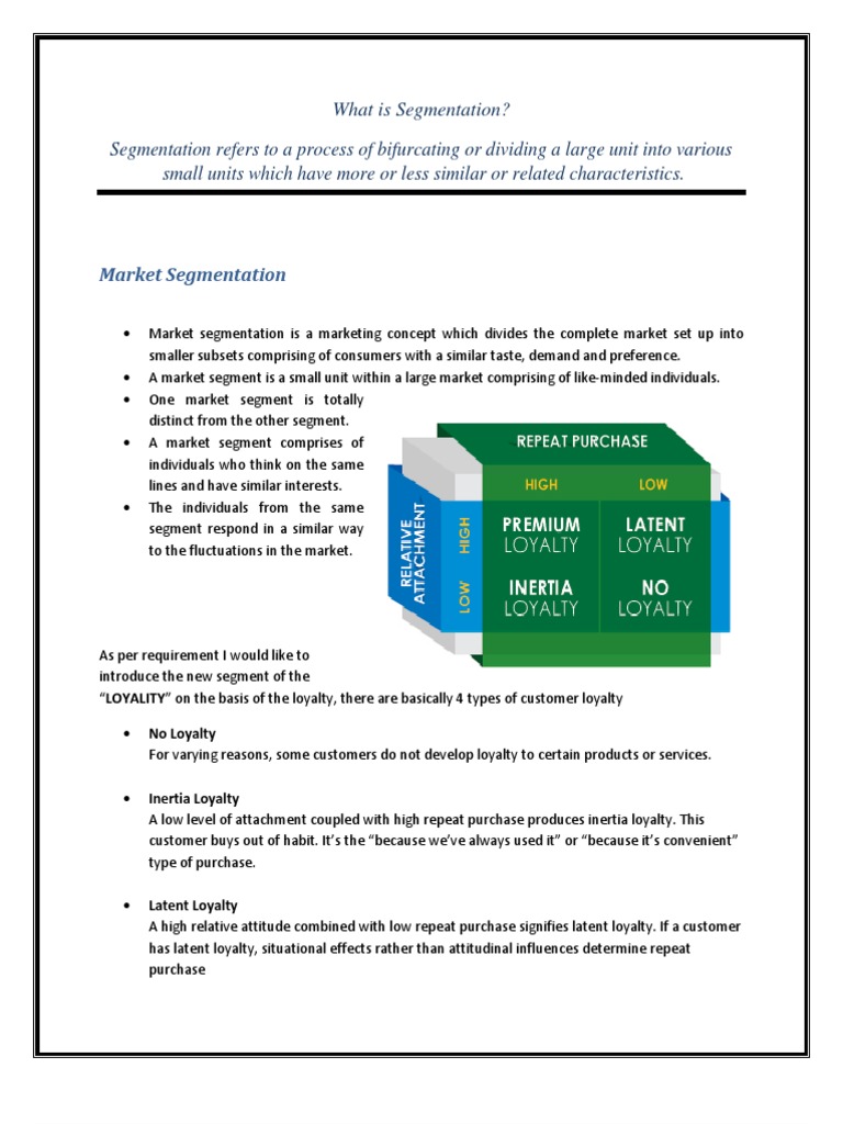 What Is Segmentation | PDF