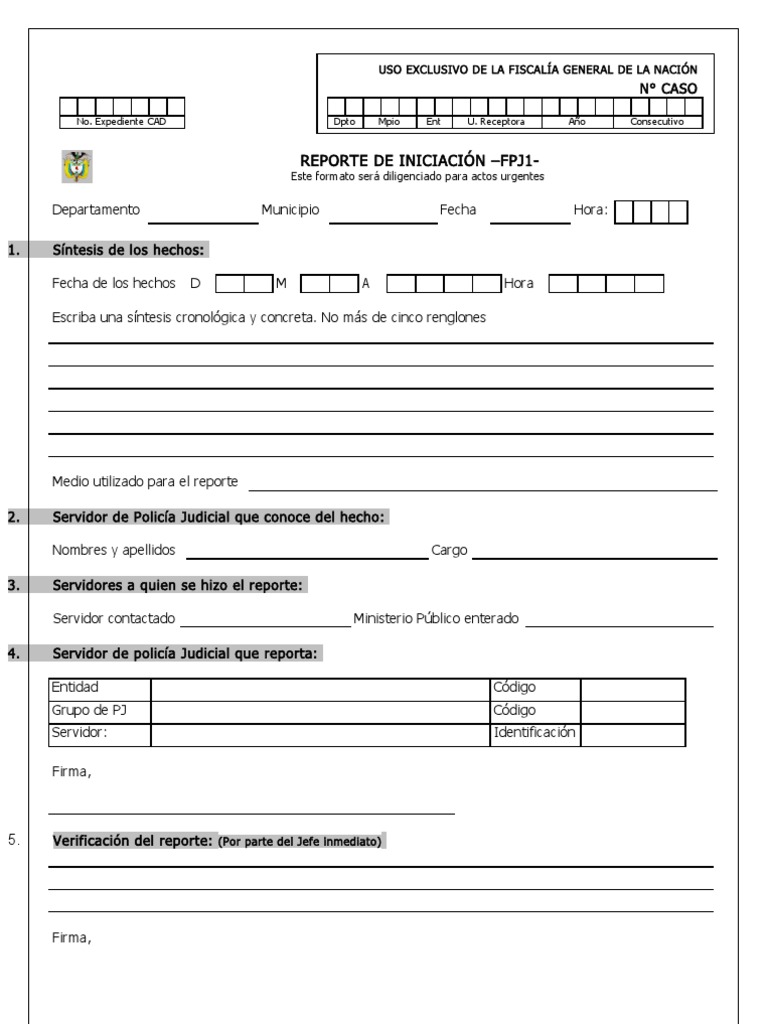 Formatos Manual Policia Judicial 2005