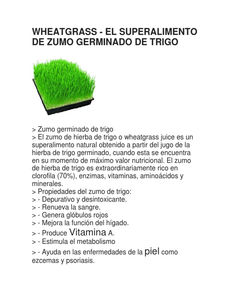 Todo Sobre El Pasto de Trigo