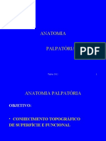 Anatomia palpatória completa