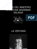 Obras Del Maestro Christian Aranibar Salinas