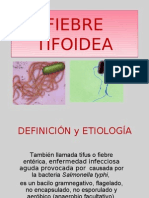 Fiebretifoidea ppt2 101204161959 Phpapp01