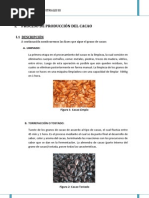 Procesos de Producción del Cacao  y Café