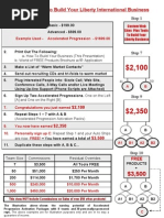 Download How To Build Your Liberty International Business by Chicago Video Phones Inc SN12597340 doc pdf