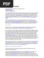 Download Sistem Bikameral by Yudha Wiradytya SN126004496 doc pdf