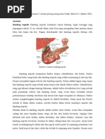 Download Anatomi  Fisiologi Kantung Empedu by idoenk SN126017724 doc pdf