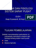 Anatomi Dan Fisiologi Sistem Saraf Pusat