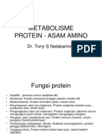 Metabolisme Protein-Asam Amino dr tony