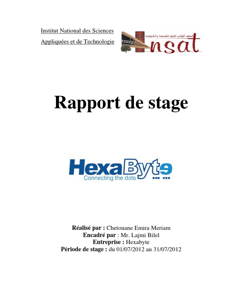 Rapport de Stage Hexabyte  Informatique  Plugin (Informatique)