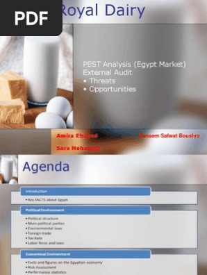 PEST Analysis