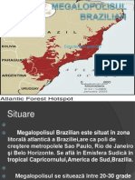 Megalopolisul Brazilian
