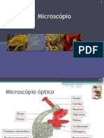 05microscopioconstituiaotc0809-100222184329-phpapp01