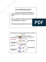 Regulacija Transkripcije