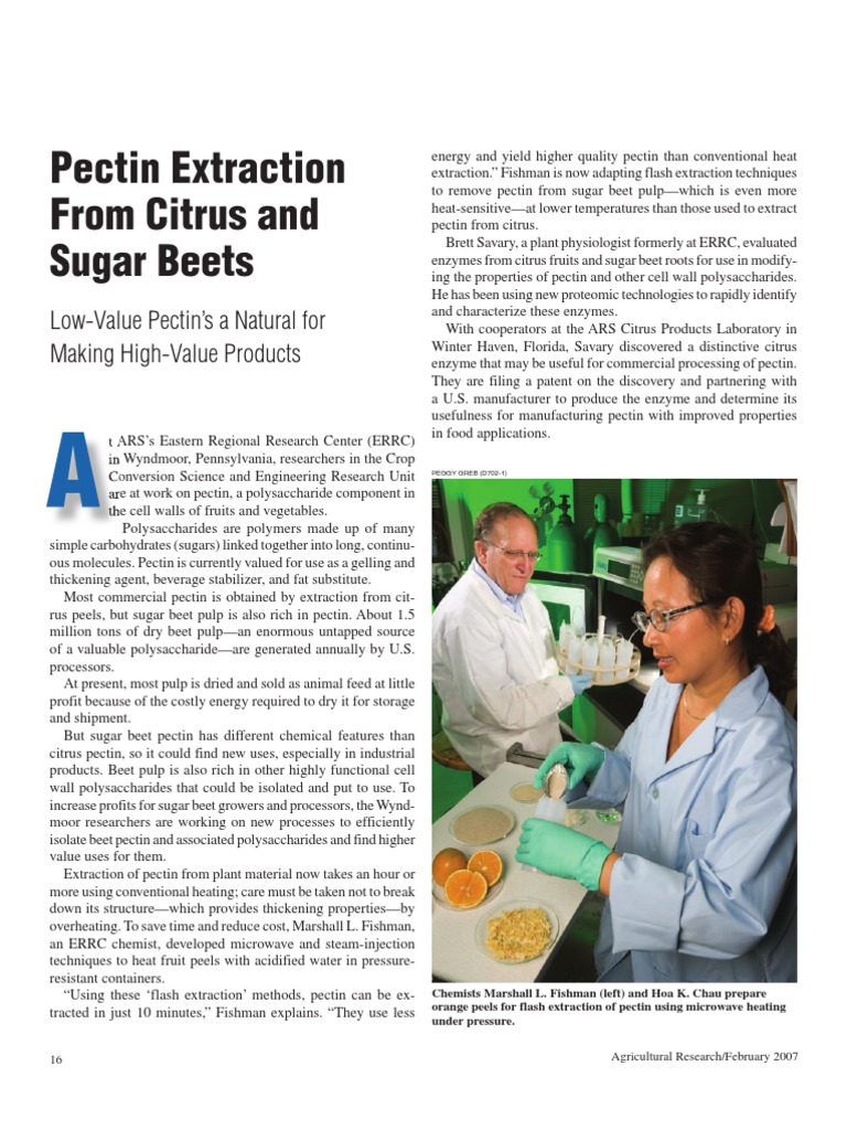 Pectin Extraction From Citrus and Sugar Beets LowValue Pectin's A