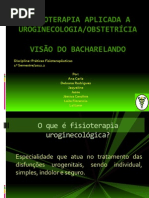 Fisioterapia Aplicada a Uroginecologia