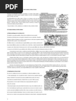 BRASIL-DOMÍNIOS MORFOCLIMÁTICOS-MMS