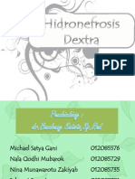 HIDRONEFROSIS DAN NEFROLITHIASIS