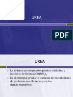 Ciclo de La Urea