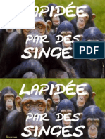 Lapidée Par Des Singes