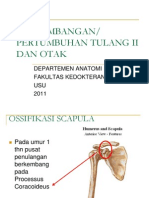 GDS1 - K5 - Tumbang Tulang II Dan Otak (Anatomi)