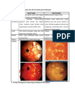 Hard-Soft Exudate Dan Protap Renitopati Diabetikum