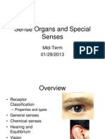 Sense Organs and Special Senses