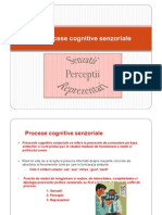 3.Procese Cognitive Senzoriale - Senzatii, Perceptii, Reprezentari