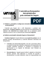 control de gestiune cap3