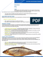 Cleaning & Sanitizing Compound For Meat & Fish Industries