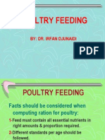 Poultry Feeding 1'