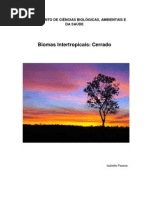 Download CERRADOpdf 2013pdf by Isabelle Passos SN126241888 doc pdf